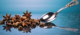 A spoon holds an arrangement of anise star nutmeg and allspice on a vibrant background giving ample space for copy
