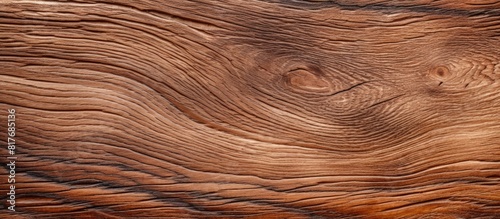 Full frame texture background with a natural pattern on an oak wood surface Copy space image