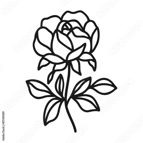 Set of hand drawn minimalistic rose flower, peony, and leaf vector logo elements, icon, and illustration for feminine brand or beauty product (ID: 817690189)