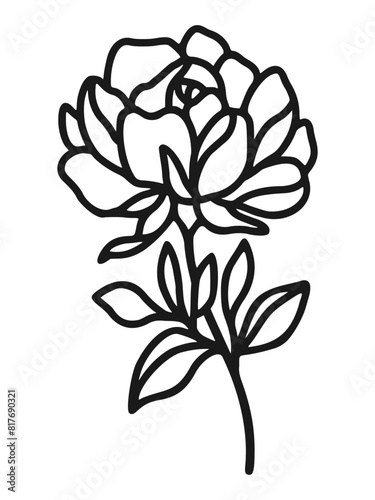 Set of hand drawn minimalistic rose flower, peony, and leaf vector logo elements, icon, and illustration for feminine brand or beauty product (ID: 817690321)