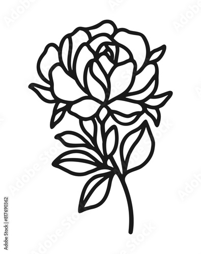 Set of hand drawn minimalistic rose flower, peony, and leaf vector logo elements, icon, and illustration for feminine brand or beauty product (ID: 817690362)