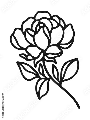 Set of hand drawn minimalistic rose flower, peony, and leaf vector logo elements, icon, and illustration for feminine brand or beauty product (ID: 817690507)
