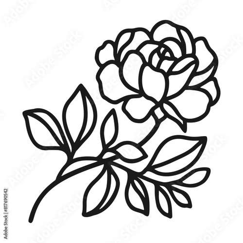 Set of hand drawn minimalistic rose flower, peony, and leaf vector logo elements, icon, and illustration for feminine brand or beauty product (ID: 817690542)