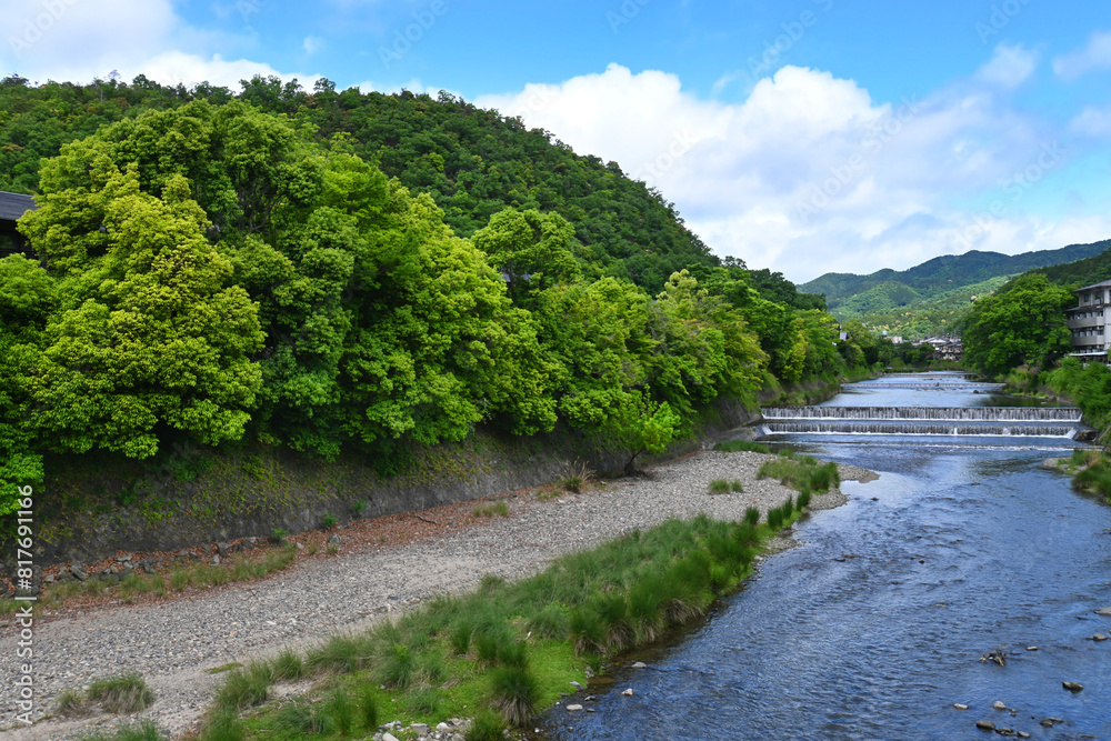 京都市左京区松ヶ﨑橋から望む新緑の高野川 京都市左京区松ヶ﨑橋から望む新緑の高野川
