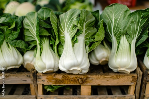 Bok choy is a Chinese cabbage photo