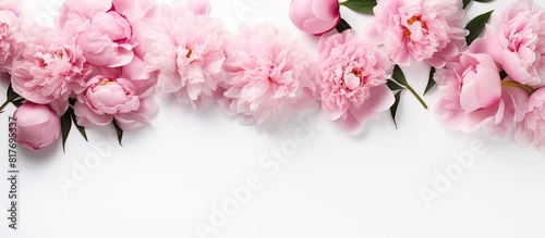 Fototapeta Naklejka Na Ścianę i Meble -  A top down view reveals lovely pink peonies set against a pristine white background creating a copy space image