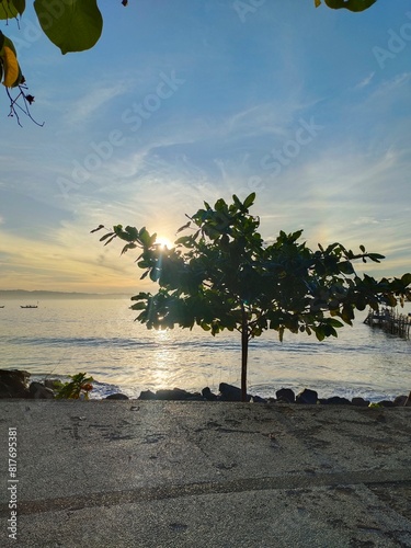 Sunset View from the Roadside Overlooking the Beach with Sunlight Filtering Through Tree Leaves