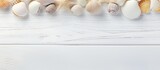 Close up copy space image of sea shells on white wooden planks representing the concept of summer vacation