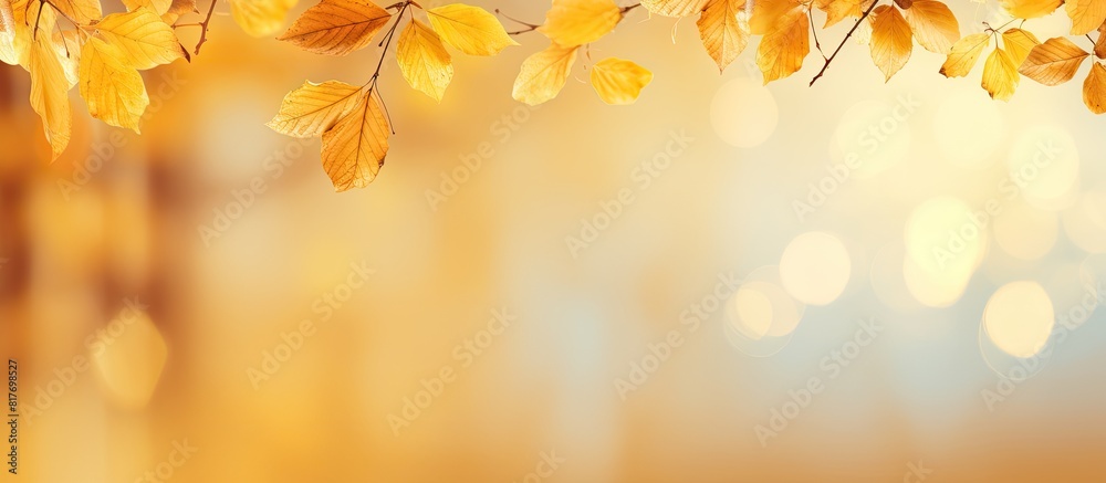 Autumn atmosphere with yellow leaves in the background Copy space image Autumn atmosphere with yellow leaves in the background Copy space image