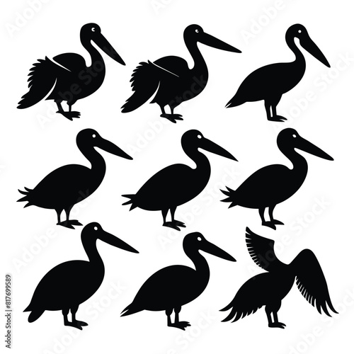 Set of pelican Silhouette Design and Vector Illustration on white background