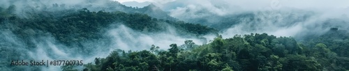 A captivating photograph of a jungle forest shrouded in mist. The mist adds an aura of mystery and serenity to the lush greenery of the jungle. 