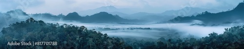 A captivating photograph of a jungle forest shrouded in mist. The mist adds an aura of mystery and serenity to the lush greenery of the jungle. 