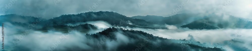 A captivating photograph of a jungle forest shrouded in mist. The mist adds an aura of mystery and serenity to the lush greenery of the jungle. 