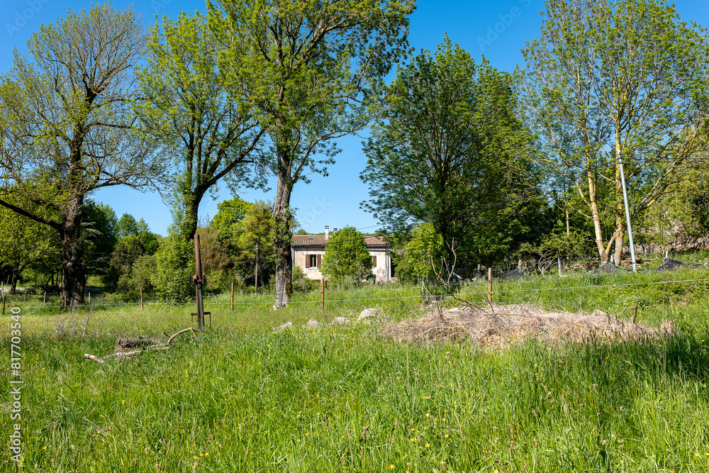 landscape with trees landscape with trees