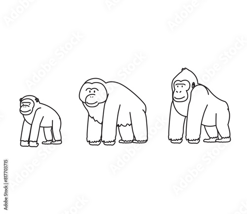 Ape Cartoon Minimal Orangutan Chimpanzee Gorilla Doodle Character