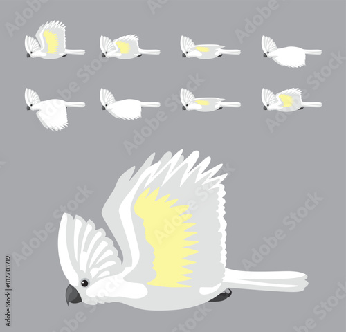 White Umbrella Cockatoo Flying Animation Sequence Cartoon Vector