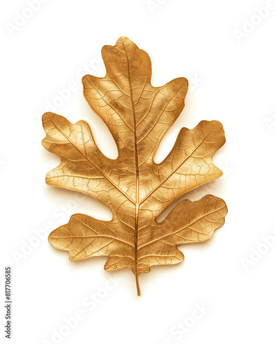 Gold oak leaf with shadow isolated on white background