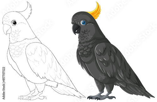 Vector illustration of a colored and line art cockatoo