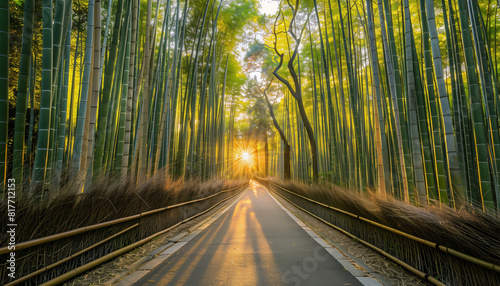 Calming rhythms of tranquil paths winding through dense bamboo groves  gentle sunlight filtering through the leaves