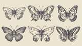 set of hand drawn butterflies vector illustration design