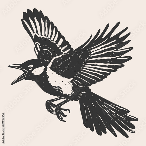 Hand drawn linocut style flying magpie birds. Grunge illustration of bird silhouette isolated