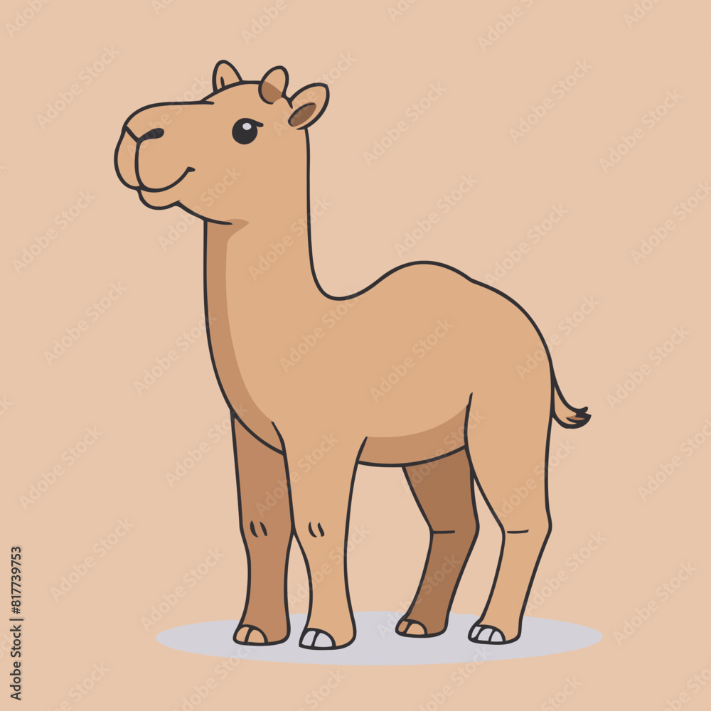 Cute Camel for children vector illustration Cute Camel for children vector illustration
