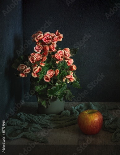 A bush of blooming begonia in a flower pot and a ripe apple.