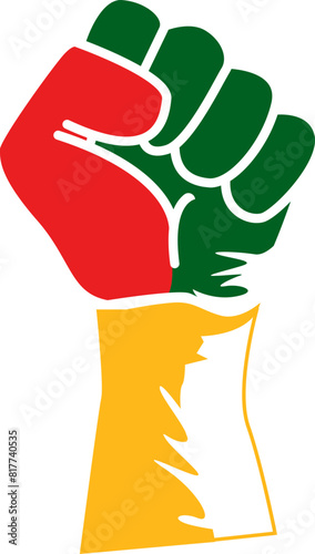 activism, activist, protest, demonstration, boycott, clenched fist, power hand, raised fist, fist, hand punch, hand fist,icon,element,sign,history,hand icon,africa flag