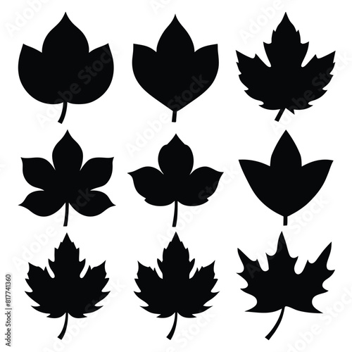 Set of sycamore leaf Silhouette Design with white Background and Vector Illustration