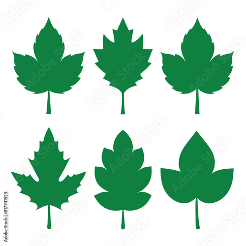 Set of sycamore leaf Silhouette Design with white Background and Vector Illustration