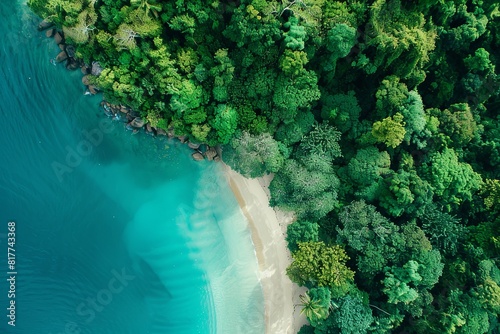 Beautiful tropical beach with turquoise water and lush forest.