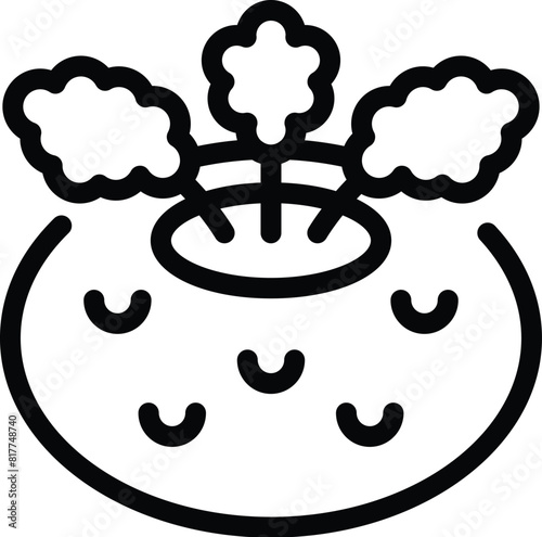 Rich vitamin kohlrabi icon outline vector. Nutritious turnip stem. Farming rooted cabbage