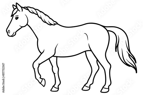 horse vector silhouette illustration