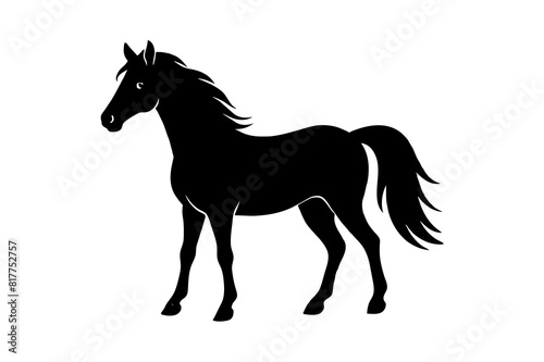 horse vector silhouette illustration