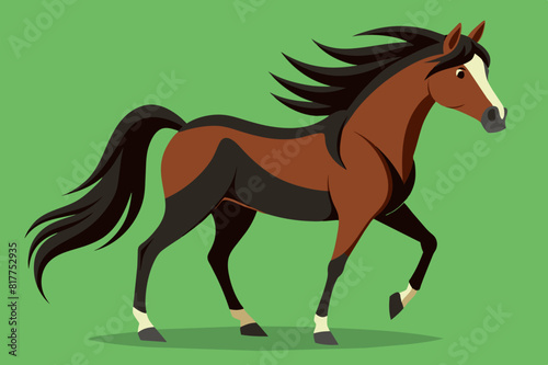 horse cartoon vector illustration