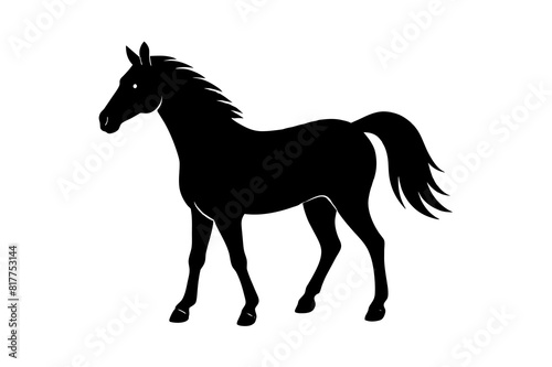 horse vector silhouette illustration