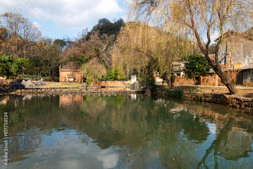 ducks in water  photo