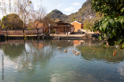 ducks in water  photo