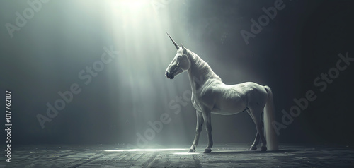 Infuse the grace of a unicorn with minimalist simplicity