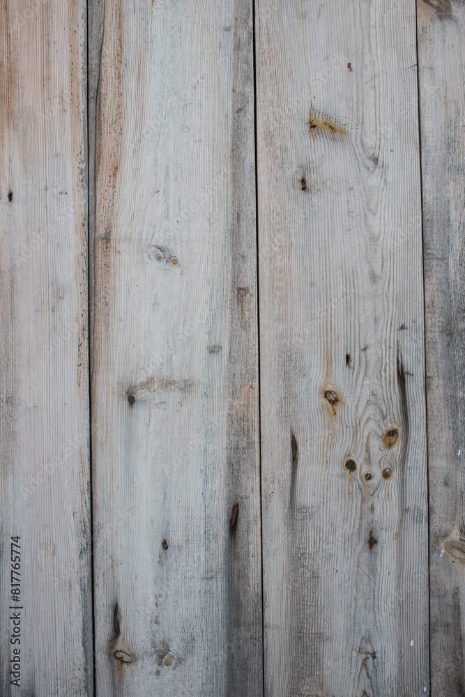 Fototapeta premium Wood texture