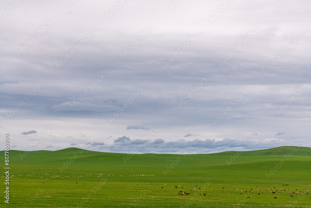 Inner Mongolia Ulagai Grassland Inner Mongolia Ulagai Grassland