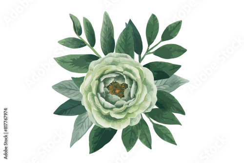 Watercolor Green flower clipart illustration and rose floral branch with green leaves on white background photo