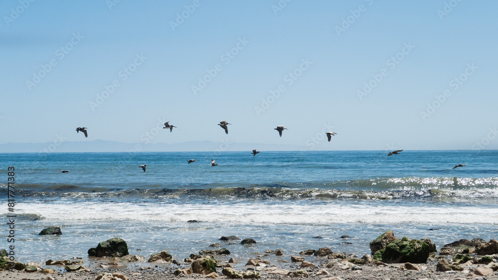 Arroyo Burro Beach, Santa Barbara, features rocks in the sand and water birds