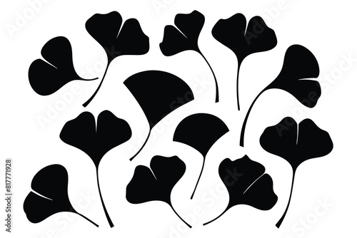 Set of ginkgo leaf Silhouette Design with white Background and Vector Illustration