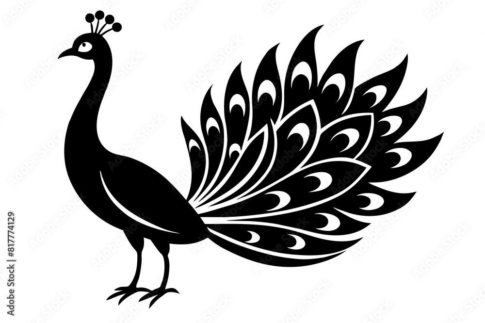 peacock vector silhouette illustration