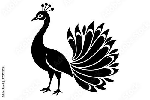 peacock vector silhouette illustration photo