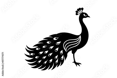 peacock vector silhouette illustration photo