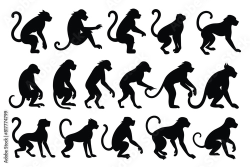 monkey Silhouette Design with white Background and Vector Illustration