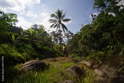 Fotografie A person exploring a lush tropical rainforest with towering palm trees and verda