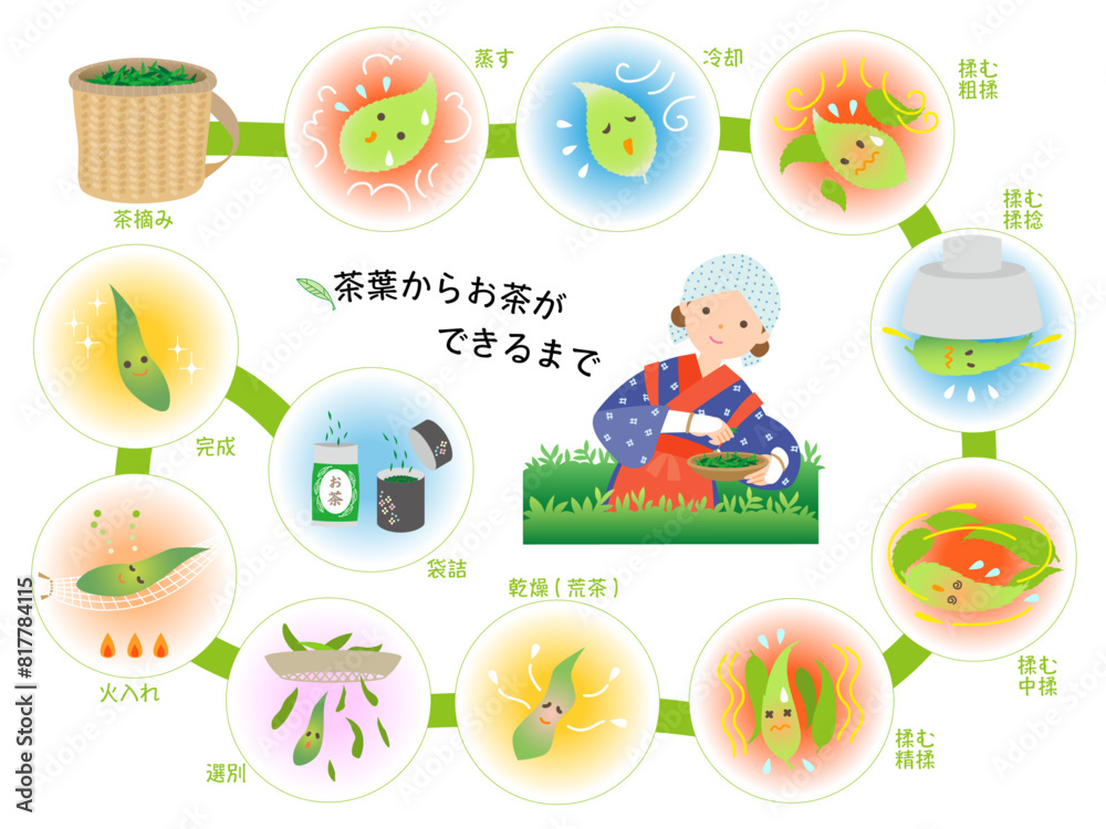 茶葉からお茶ができるまで 茶葉からお茶ができるまで